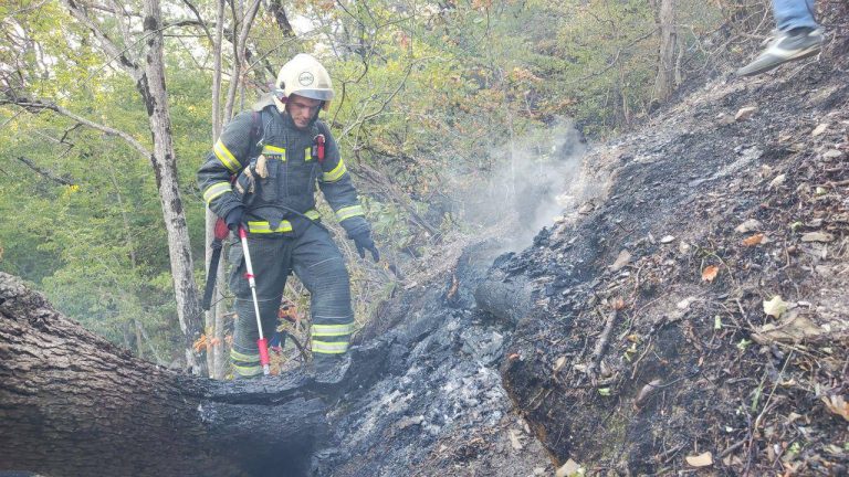 Hulıjıy-Gelencik’teki orman yangını lokalize olarak kontrol altına alındı